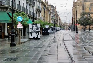 Unimmagine surreale del centro di Siviglia, dopo un acquazzone - Giovanni Coluccia
